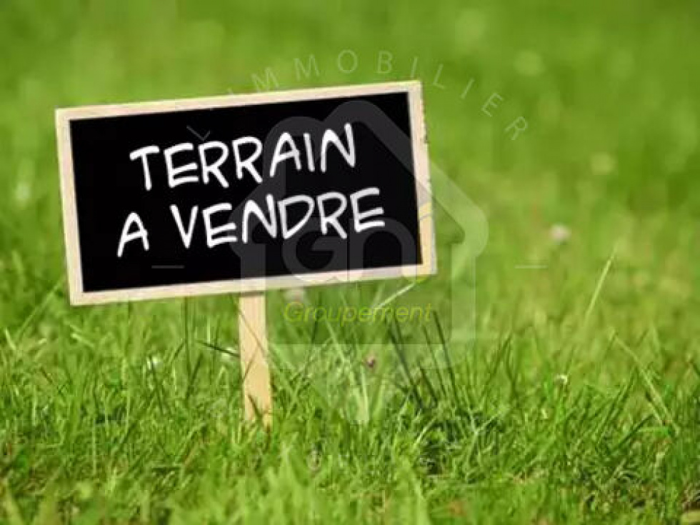 Vente Terrain à Saint-Martin-de-Crau (13310) - Agence De L'Olivier